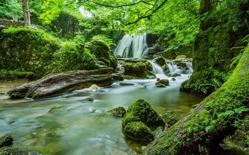 高效科技高端